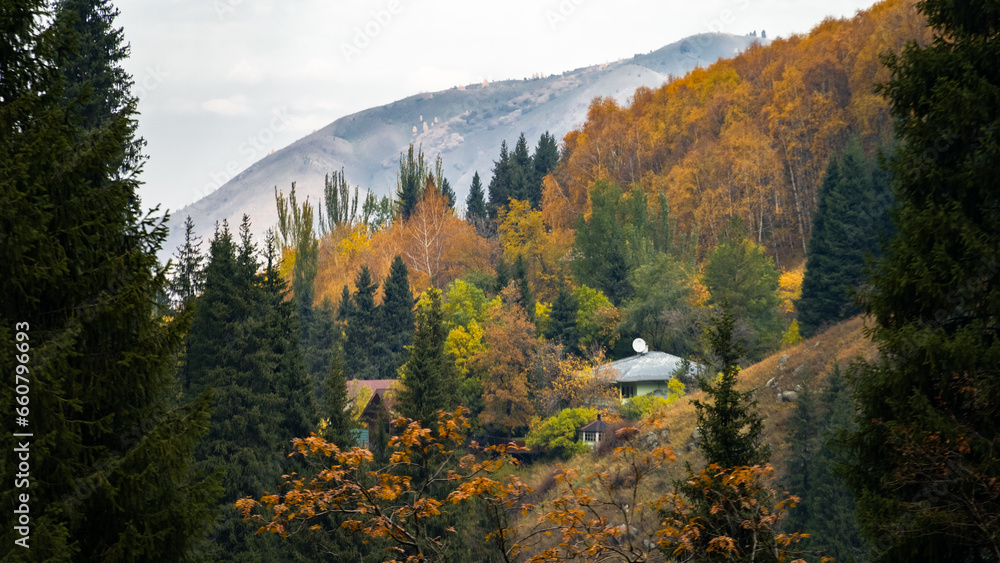 golden autumn in the mountains. autumn forest