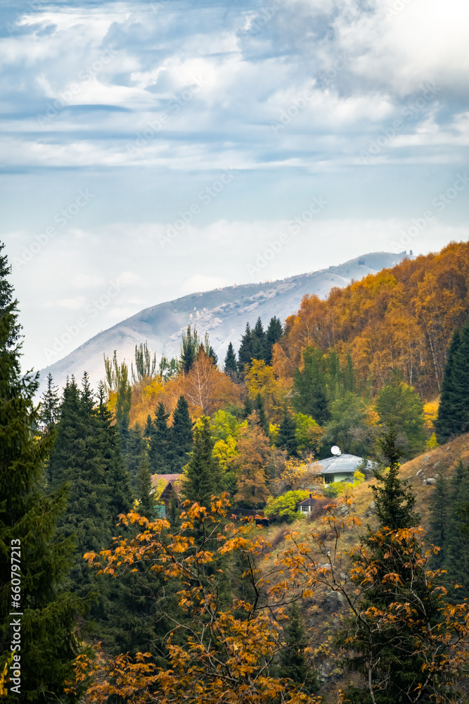 golden autumn in the mountains. autumn forest