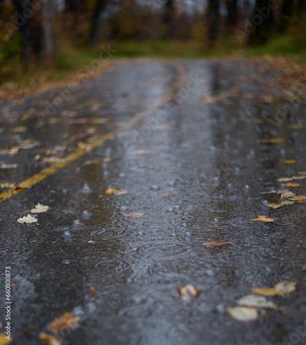 rain drops on asphalt