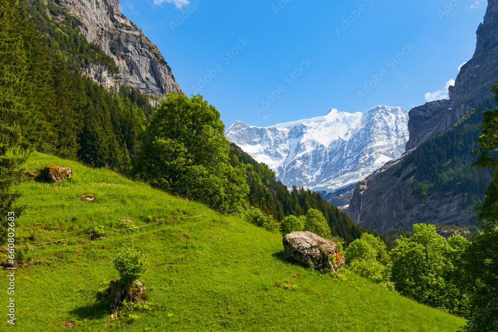 Breathtaking panoramic view of the snowy slopes of the Alps and bright green slopes in the Alpine village of Grindelwald