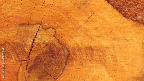 Brown cut wood texture. Wooden texture image. It is possible to use as a background. Vector illustrator