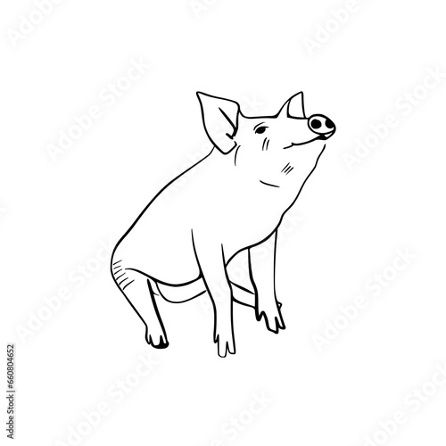 Vector sketch hand drawn silhouette of a pig sitting, line art