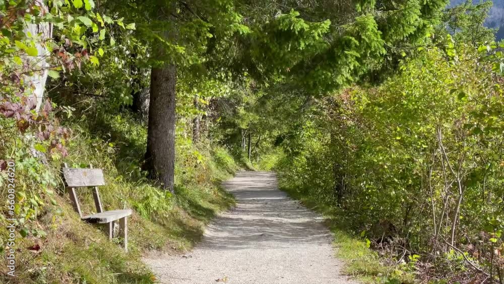 einsame Bank im Wald