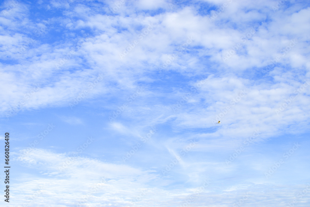 Blue sky, fluffy white clouds, and birds flying in the distance. On a clear day at the end of the rainy season and beginning of winter Blue sky, fluffy white clouds, and birds flying in the distance. On a clear day at the end of the rainy season and beginning of winter