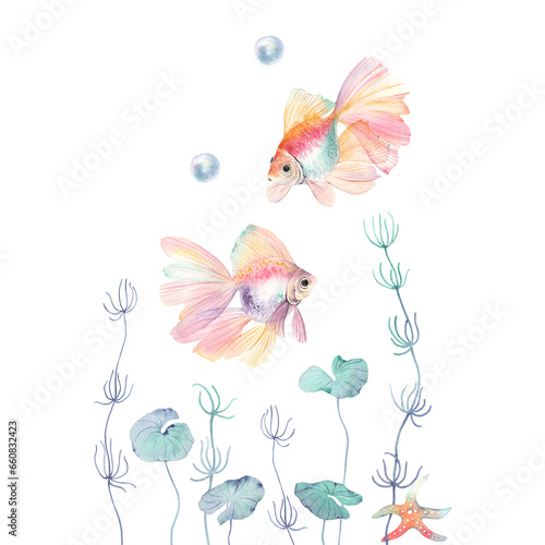 Card with colorful abstract fishes, watercolor isolated illustration for print, poster or wallpapers, beautiful design elements. © Nikole