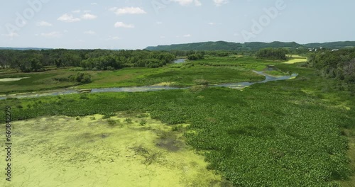 River And Wetland With Algae And Other Aquatic Plants In Trempealeau National Wildlife Refuge. - aerial photo