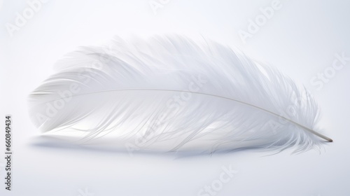 A pristine white background featuring soft feather details on its surface.