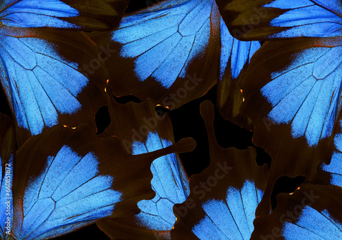 abstract pattern from tropical ulysses butterfly wings.