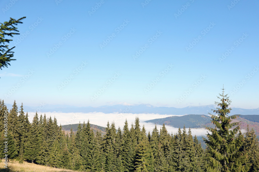 Mount Hoverla hanging peak of the Ukrainian Carpathians against the background of the sky