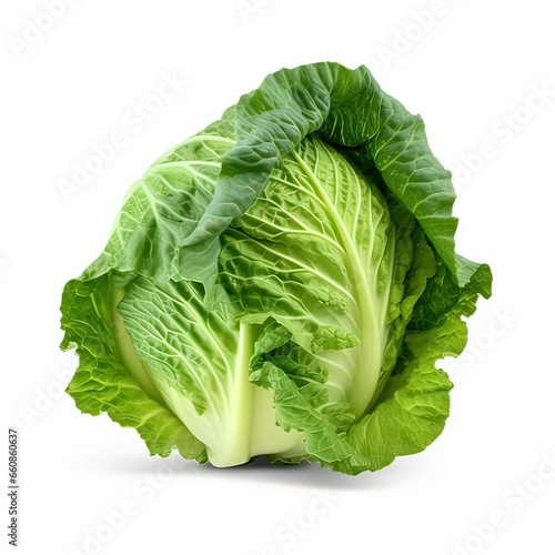 arrowhead cabbage