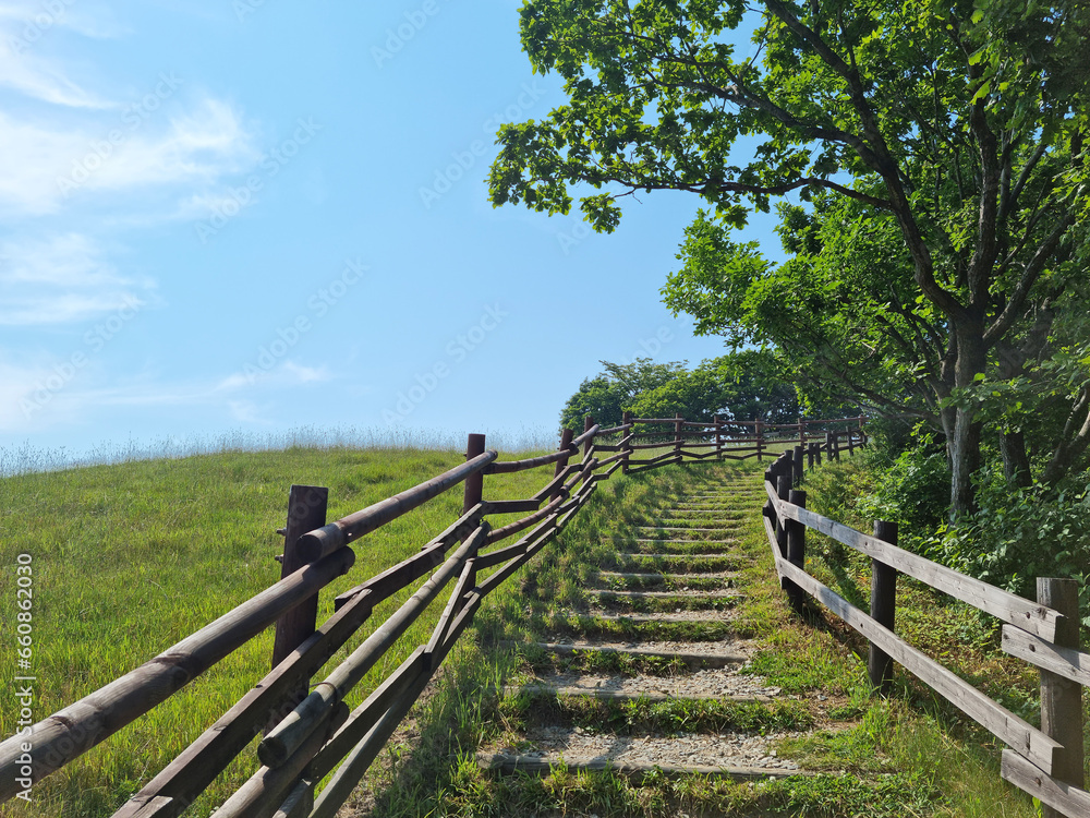 Fototapeta premium It is a hill in the meadow with steps.