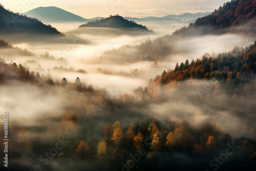 Fog and autumn in a forest aerial © Alexandr