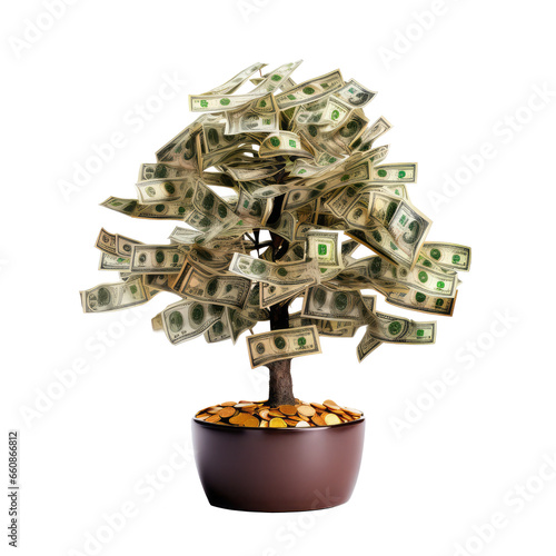 money tree isolated on white