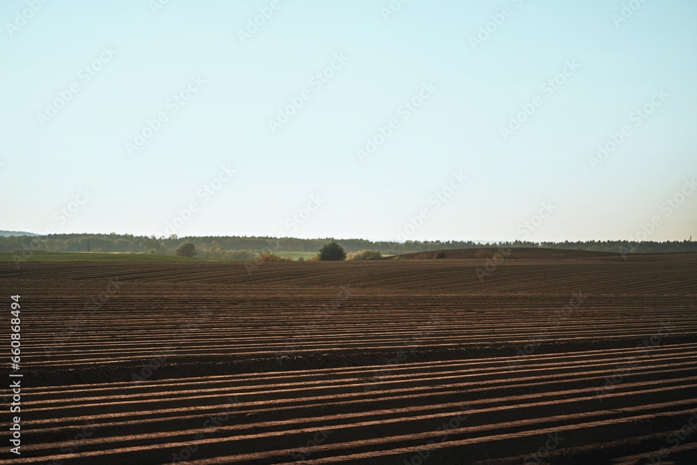 The soil of the farmland. landscape scenery a meadow soil. Plantation field