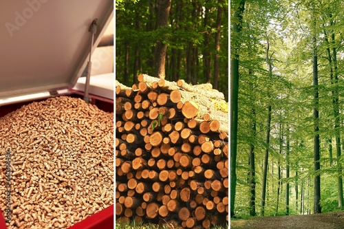 A Sustainable Future. The Wood Pellet Journey from Forest to Home Heating. Three steps of production wood pellets fuel.