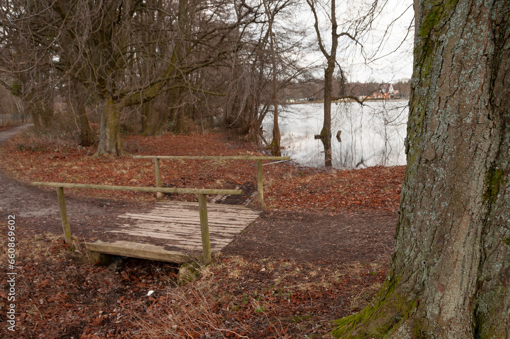 brücke natur wald herbst