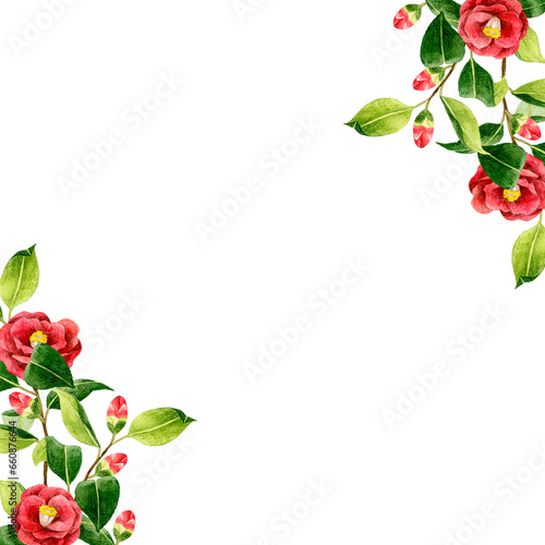赤色の椿の背景 冬・春の花の手描き水彩イラスト素材
