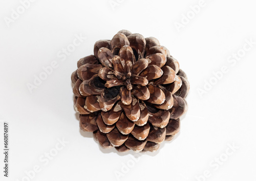 Pine cone. Top view of a pine cone isolated on white background. Selective Focus.