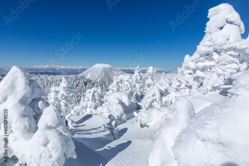 北横岳山頂の樹氷と蓼科山と北アルプスの山並み3 © 木嶋眞吾