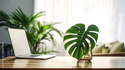 monstera plant in pot on wooden table with laptop and white background