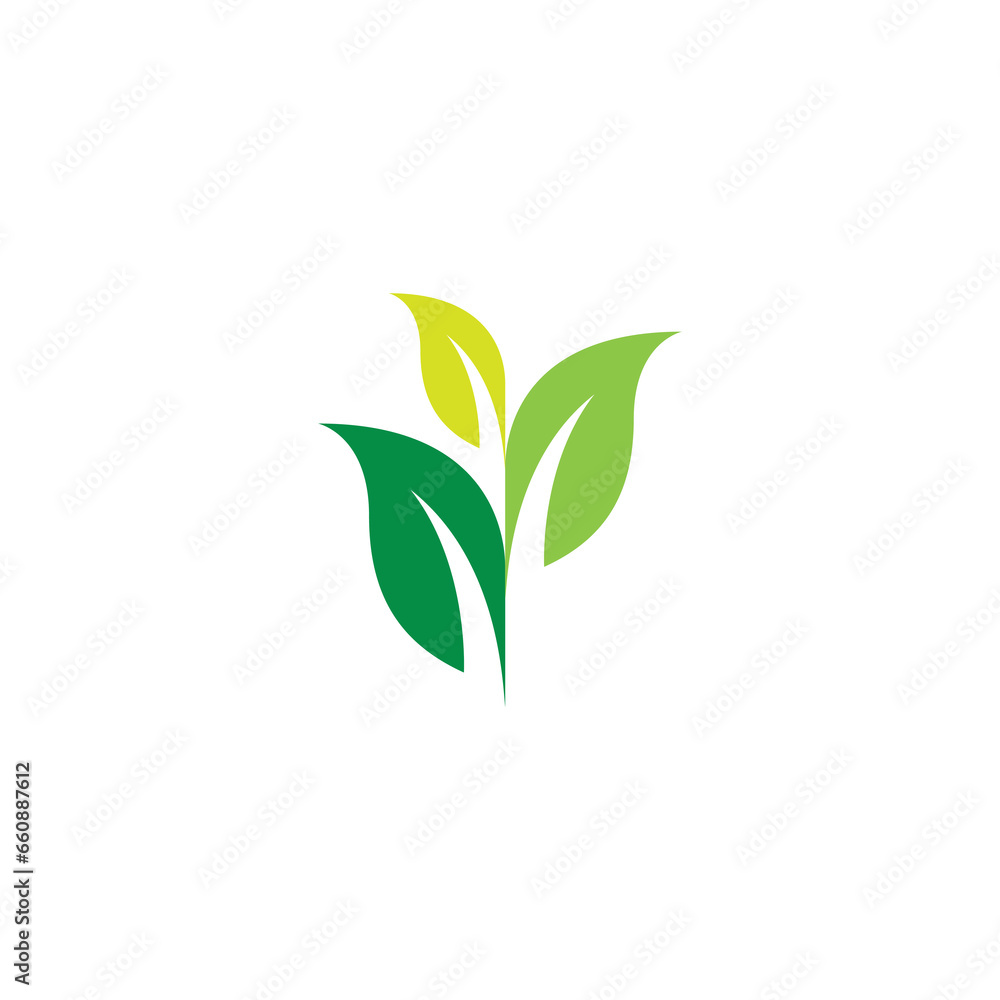 V Leaf Logo Design. Leaf Icon V Leaf Logo Design. Leaf Icon