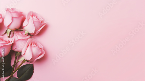 Pink roses on a pink background © Cybonix