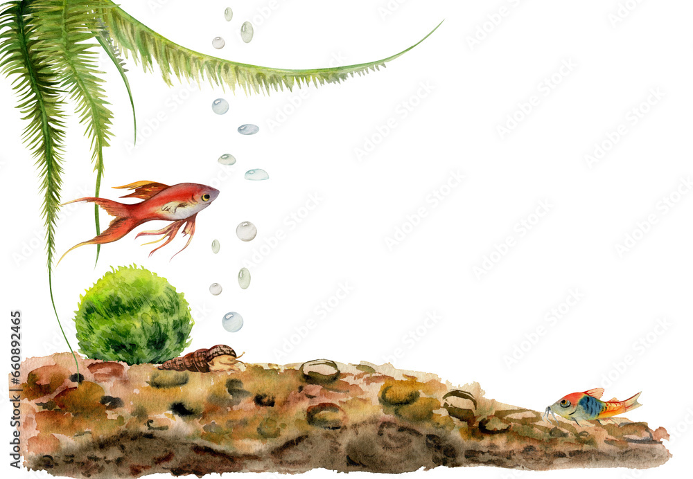 Hand drawn watercolor aquarium fish, algae and sealife on substrate ... - Marine Aquarium Algae Resistant Paints