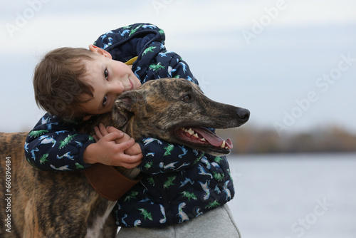 Child walkng with dog outdoor. Big cute greyhound dog walking with baby boy photo