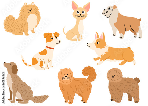 Dogs collection. Cartoon dogs of different breeds. Pet animal, cute puppy. Chihuahua, toy poodle, corgi, pomeranian, bulldog, jack russell terrier. Vector hand draw illustration. © PawLoveArt