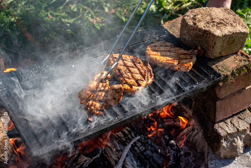 Rustic cottage core garden barbecue photo