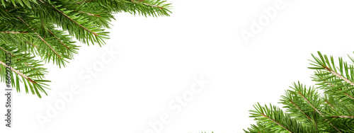 Close up christmas frame with fir branches on white background