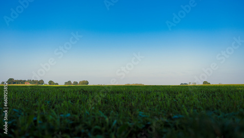 landscape with a field