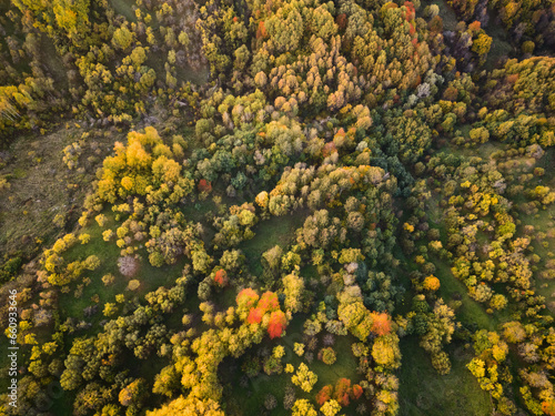 Drone background - colorful autumn trees