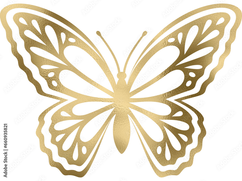 goldener Schmetterling, Falter mit transparentem Hintergrund goldener Schmetterling, Falter mit transparentem Hintergrund