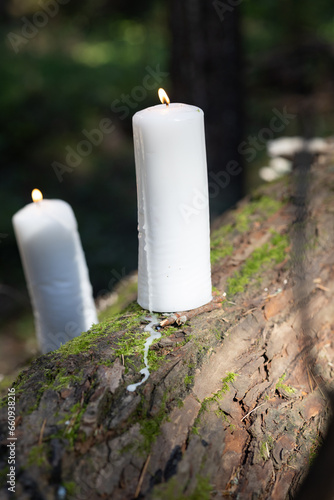 White candle in the forest on the trunk of a tree