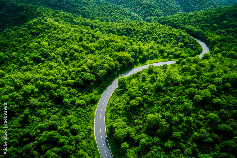 Aerial view of curve road on green forest.
