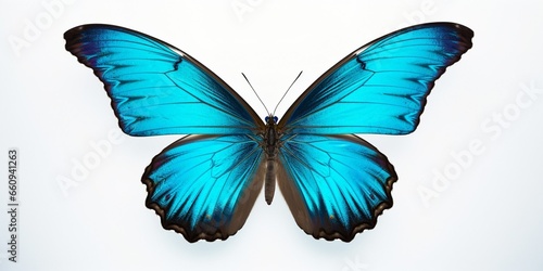 beautiful blue turquoise tropical butterflies with wings spread and in flight isolated on white background, close-up macro. : Generative AI