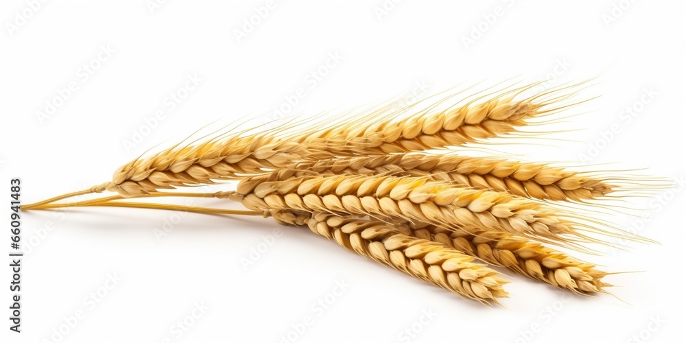 Wheat ears isolated on white background. Package design element. Full depth of field : Generative AI Wheat ears isolated on white background. Package design element. Full depth of field : Generative AI