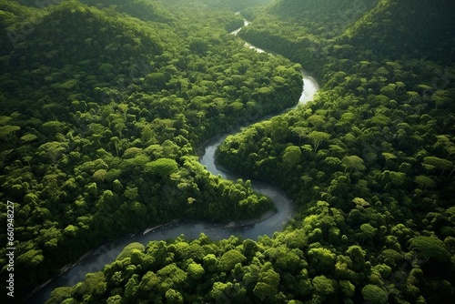 Aerial perspective of dense rainforest, meandering river, and winding pathway. Generative AI