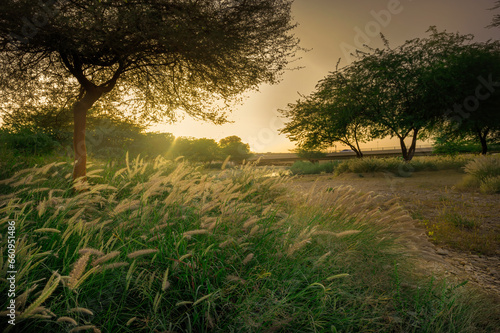 Landscape view of Natural Park from Riyadh, Saudi Arabia