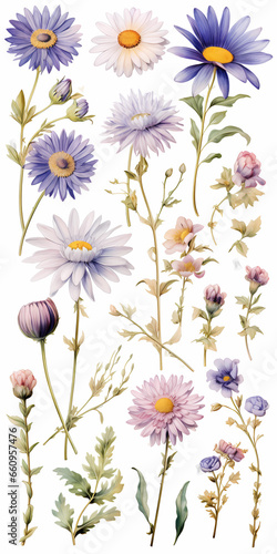 a collection of soft watercolor flowers isolated white background © katobonsai