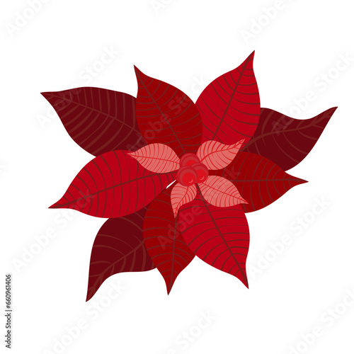 Christmas flower is red. Vector graphics