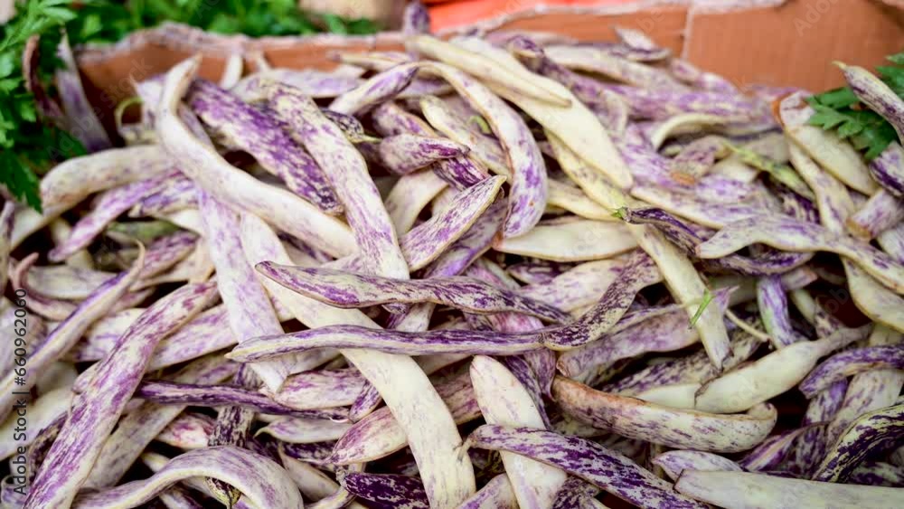 Bean pods for sale in market. Dragon tongue bean. Bean pods for sale in market. Dragon tongue bean.