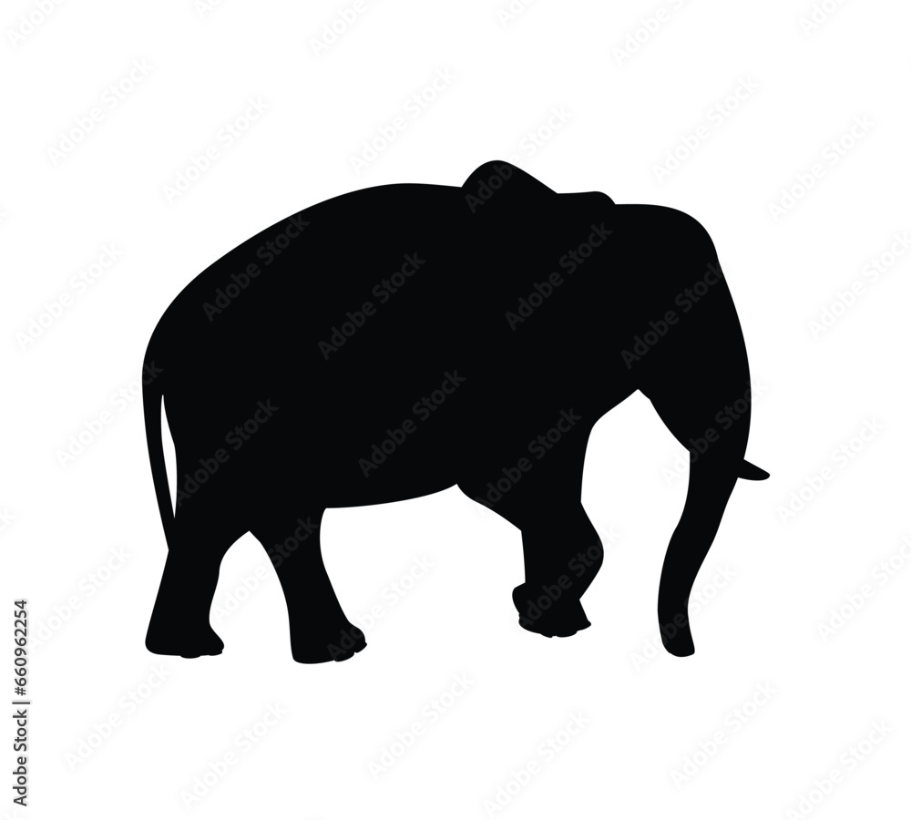 Black silhouette of elephant, elefant isolated on white background Black silhouette of elephant, elefant isolated on white background