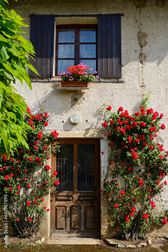 View from the street of traditional French townhouses covered with flowering roses - June 2018 - France