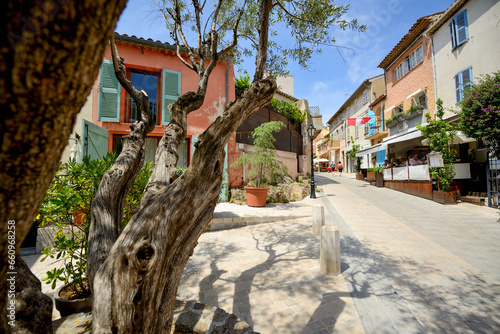 View from the street of traditional French townhouses and restaurant with an olive tree in the foreground - June 2018 - Saint-Tropez, French Riviera (Côte d'Azur), France
