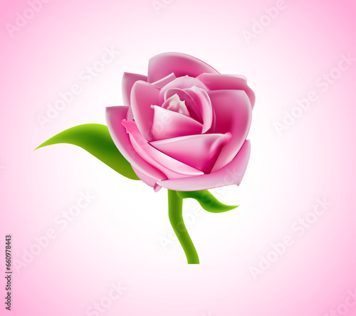 Realistic pink rose, 3d flower pink flower design, wedding bouquet and valentine greeting card, vector illustration