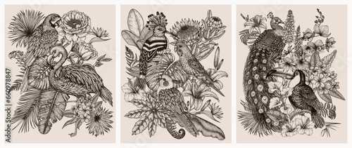 Set of 3 vector posters. Tropical garden with exotic birds. Macaw parrot, toucan, hoopoe, peacock, flamingos, budgie and cockatiel parrot in engraving style