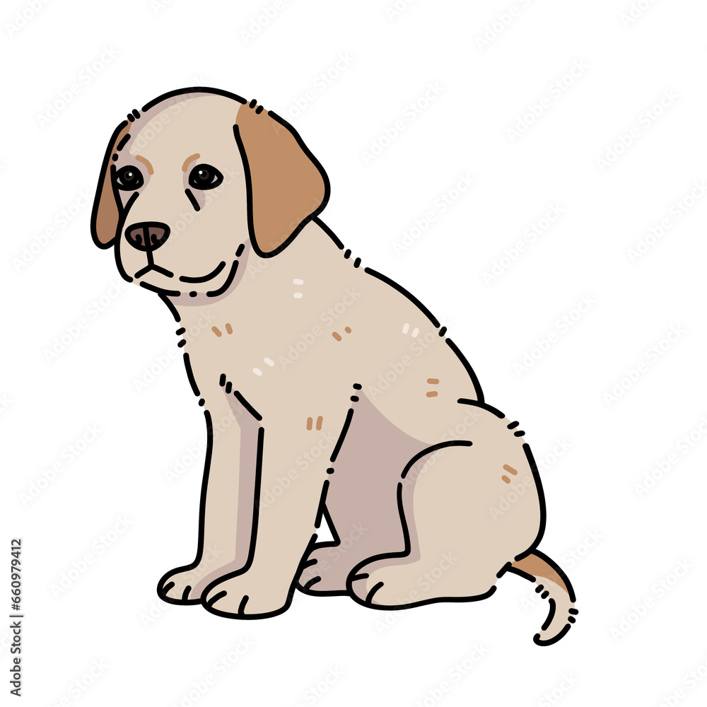 Fototapeta premium Labrador retriever puppy white dog sitting on transparent background 