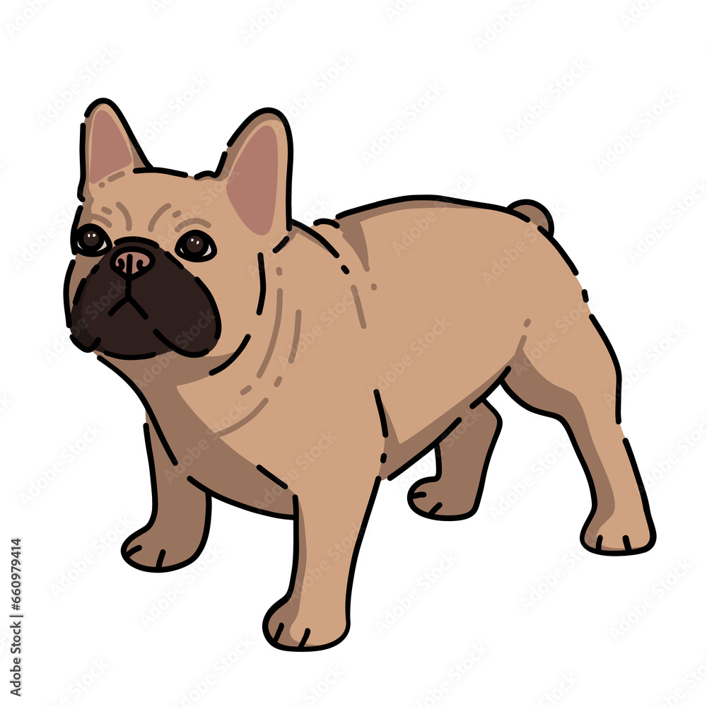 Fototapeta premium French bulldog standing on transparent background illustration 